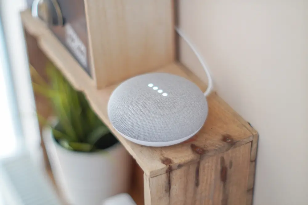 assistant vocal google