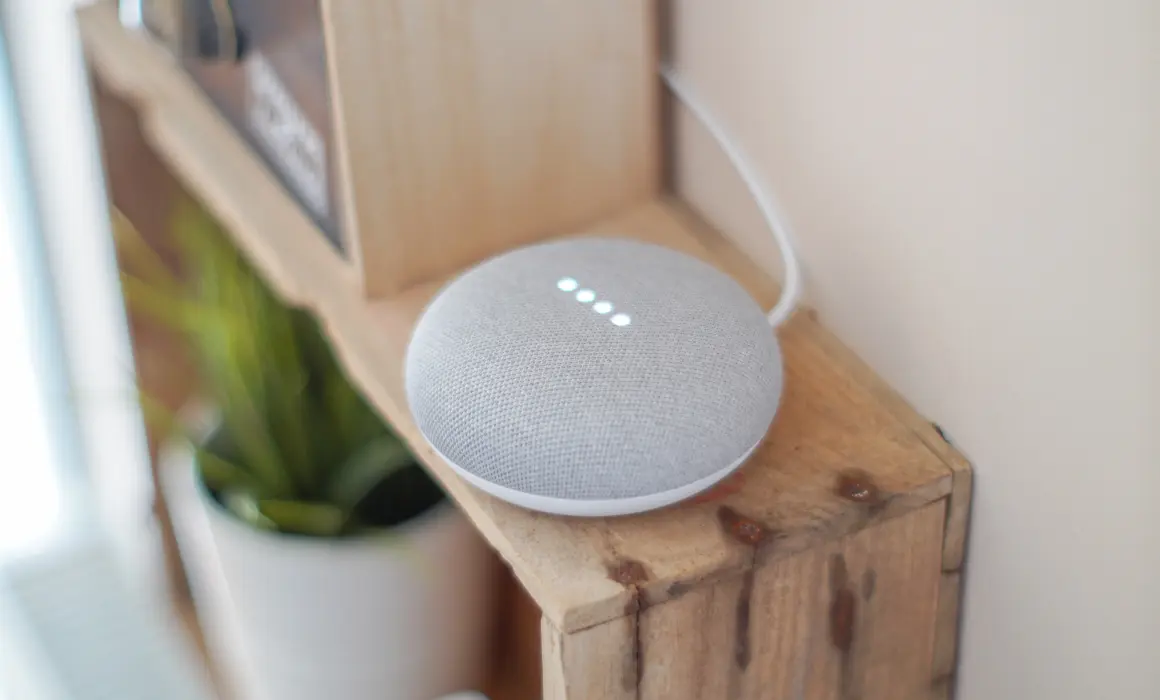 assistant vocal google